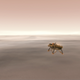 Illustration for article titled Watch NASA Land the InSight Probe on Mars Live Right Here